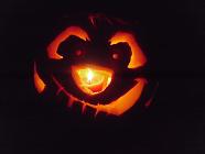 Happy Halloween :)  
 
Timone carved from a pumpkin (by me) and then photographed :)