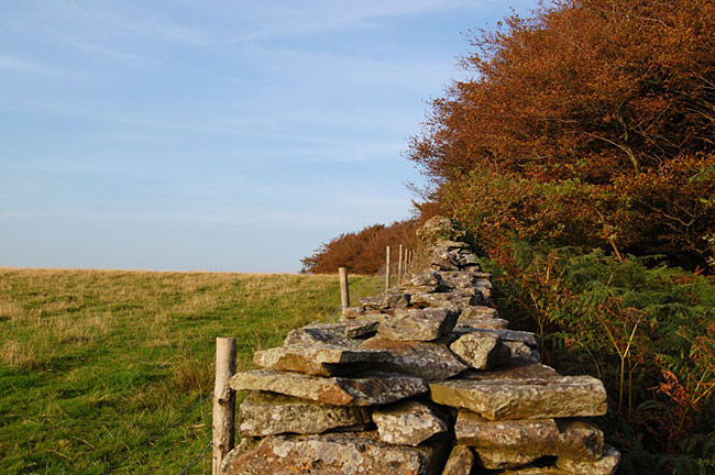 Llantrisant, South Wales UK