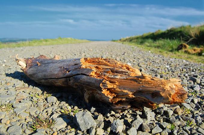 Log landscape