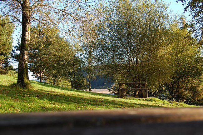 Was driving up towards the Brecon Beacons and noticed this spot. Really pretty area.