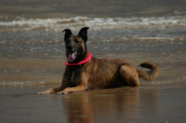 Gabe at the beach.