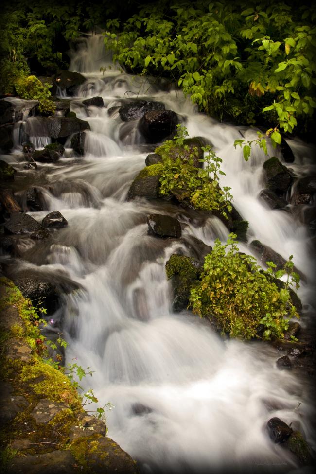 Wahkeena Falls ending brook