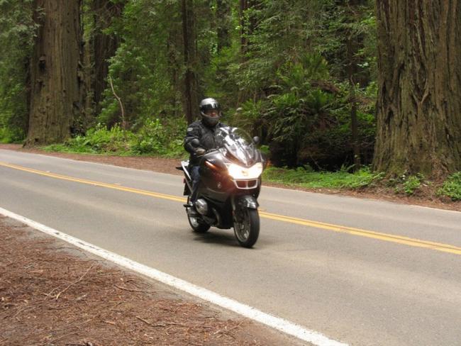 Avenue Of Giants in Fortuna, CA R1200RT