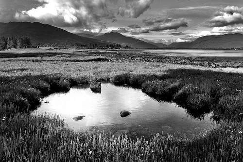 Lochcarron Pool