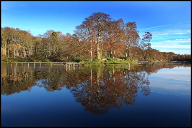 Sandyknowes Fishery