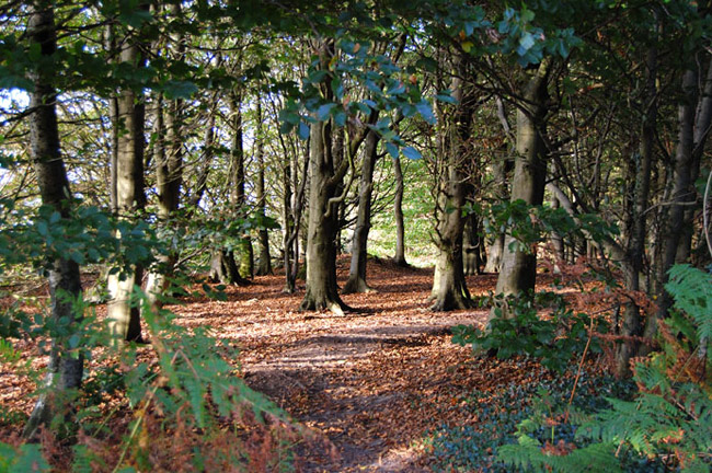 Llantrisant, South Wales