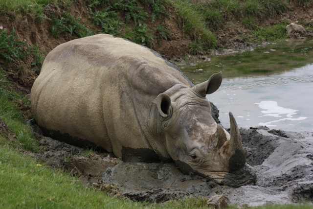 Mud bath!!