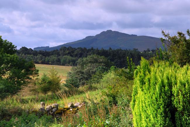 Ruberslaw from Ruecastle