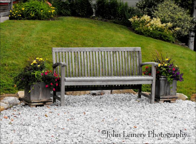 Lonely Bench