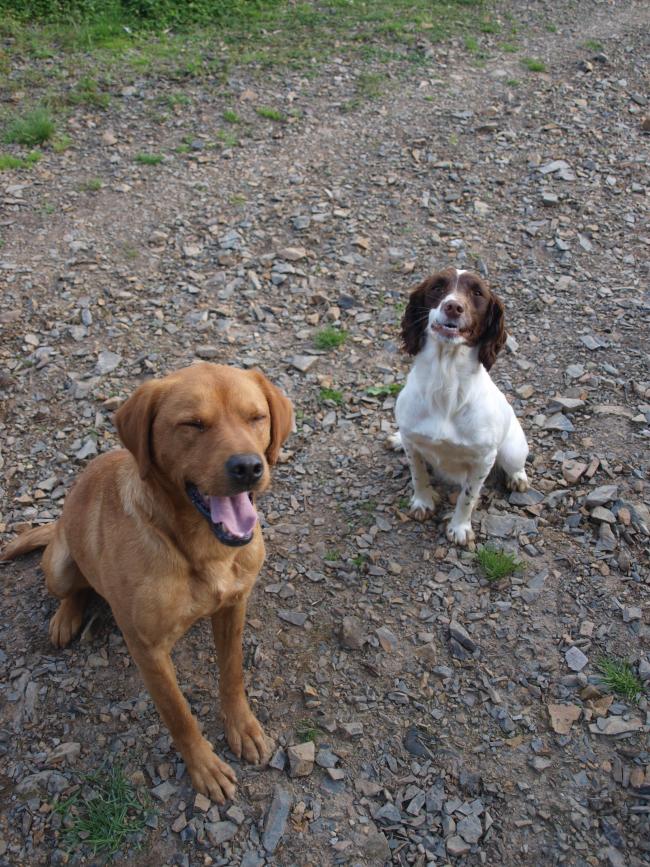 Hamish & Gracie ... Cheese :D