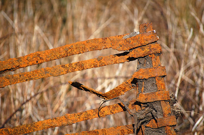 Rusty gate