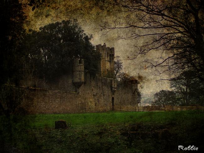 witton castle