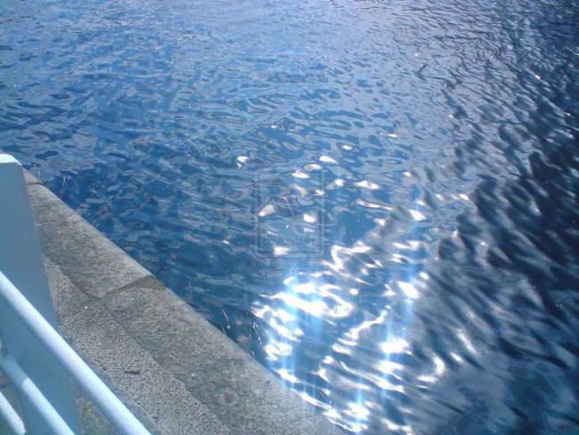 clear waters of the clyde running through glasgow