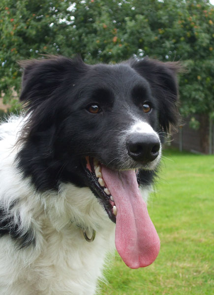 Len and his enormous tounge!