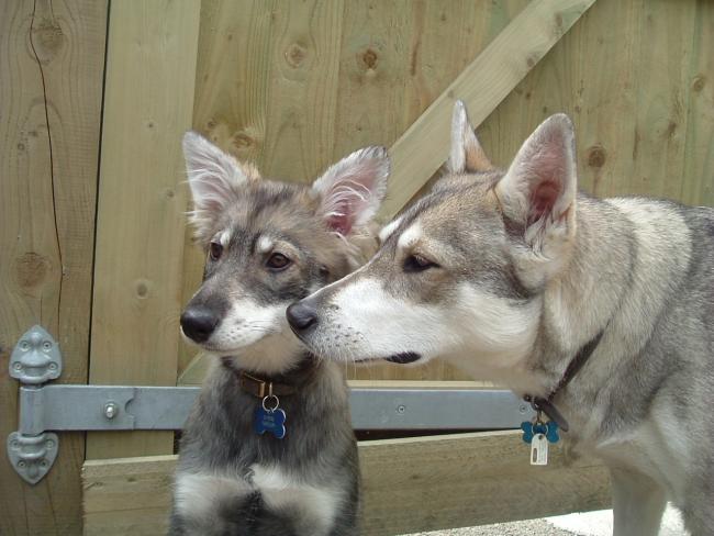 Mother and daughter